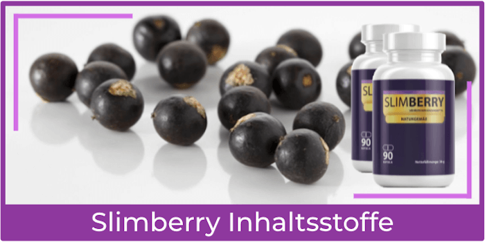 Slimberry Inhaltsstoffe